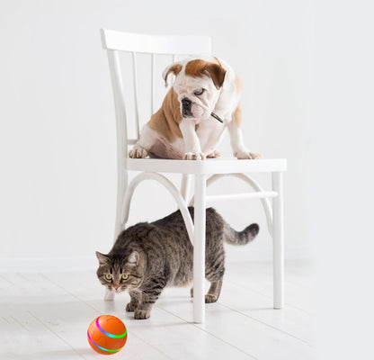 Pet New Cat Wicked Ball Toy Intelligent Ball USB Cat Toys Self