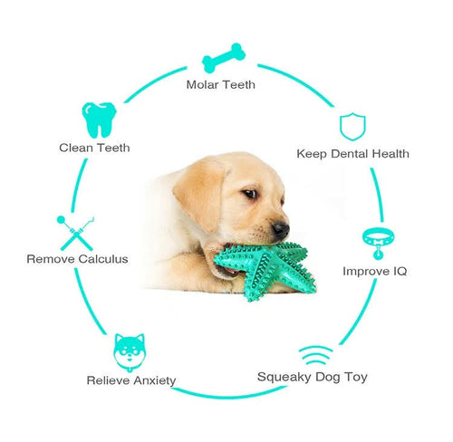 Fast Shipping 3 Pack Squeaky Toothbrush & Cotton Rope Ball Dog Toys